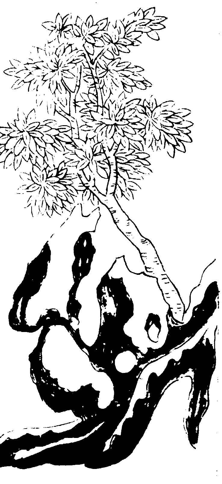 ����ͼ��