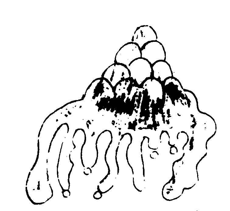 ����ͼ��