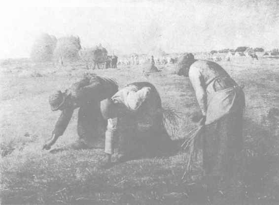 ������ѧ�ռ�