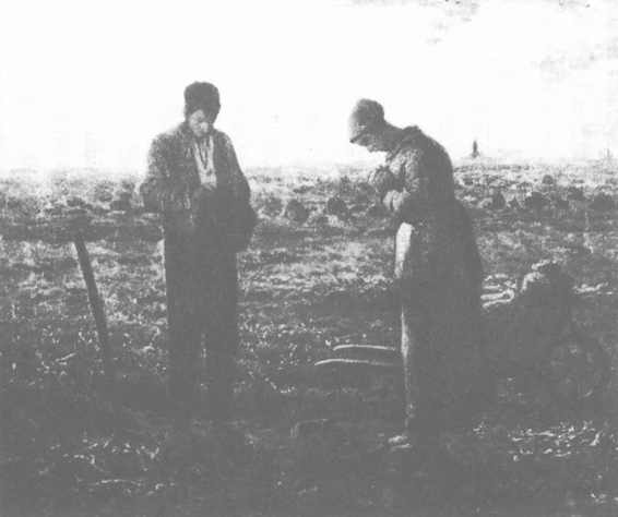 ������ѧ�ռ�