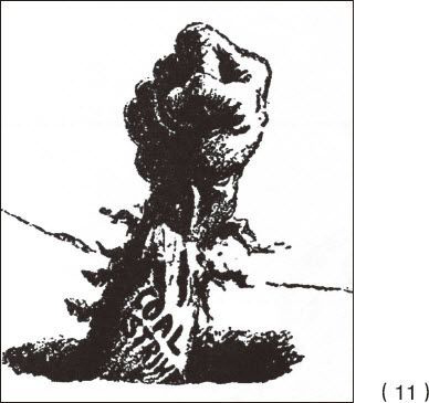 ������ѧ�ռ�