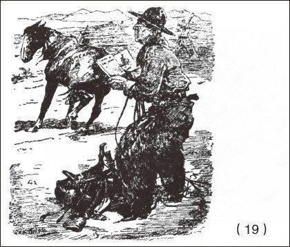 ������ѧ�ռ�