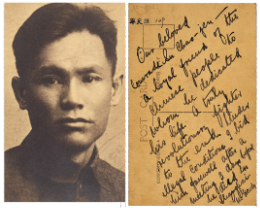 ������Ӱ��