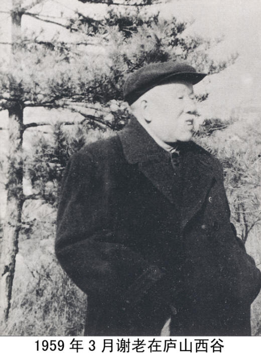 л����Ӱ�����ּ�