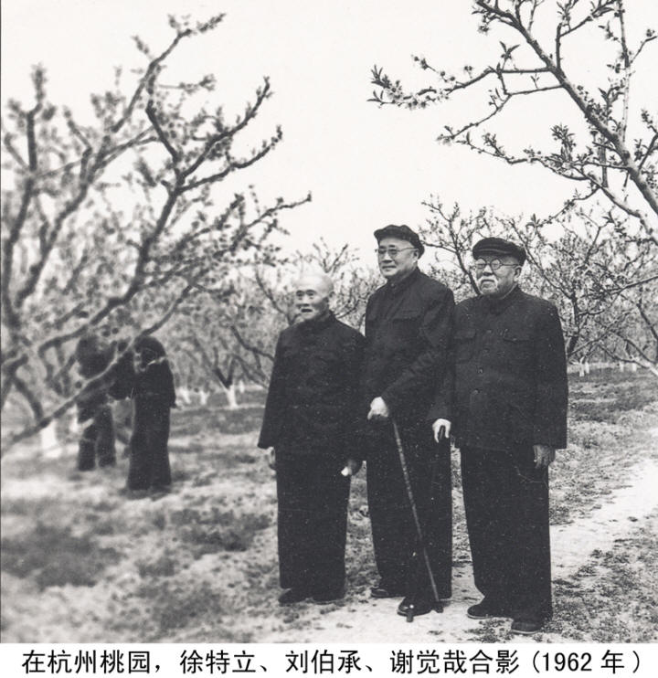 л����Ӱ�����ּ�