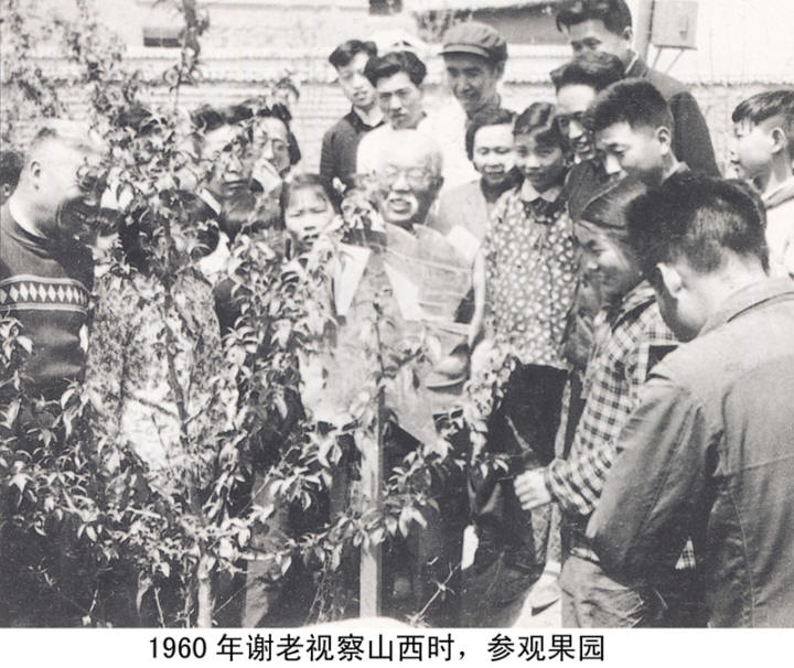 л����Ӱ�����ּ�